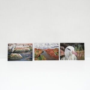 New - Pack of 10 greeting cards, 5x7, paintings by Patricia Gould